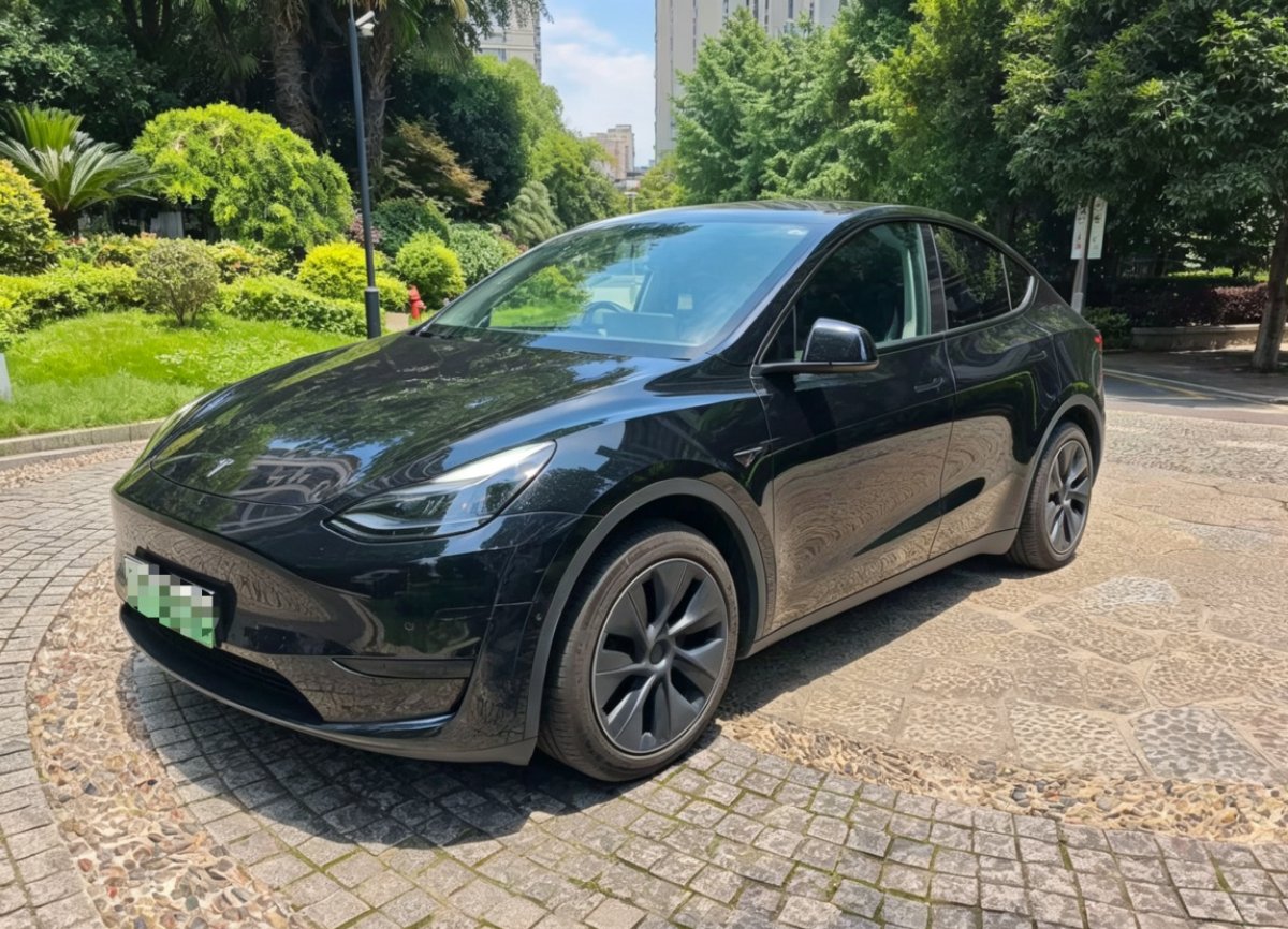 Tesla Model Y 2024 car image 