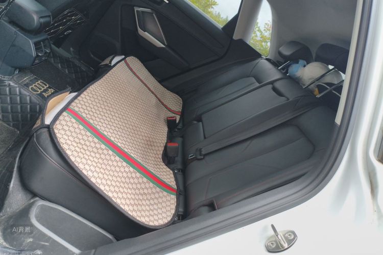 Audi Q3 2021 car image #19