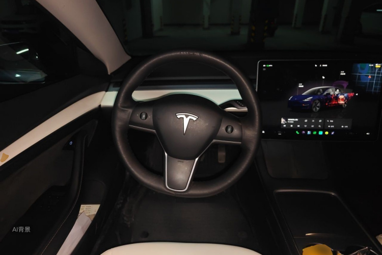 Tesla Model 3 2022 car image #12