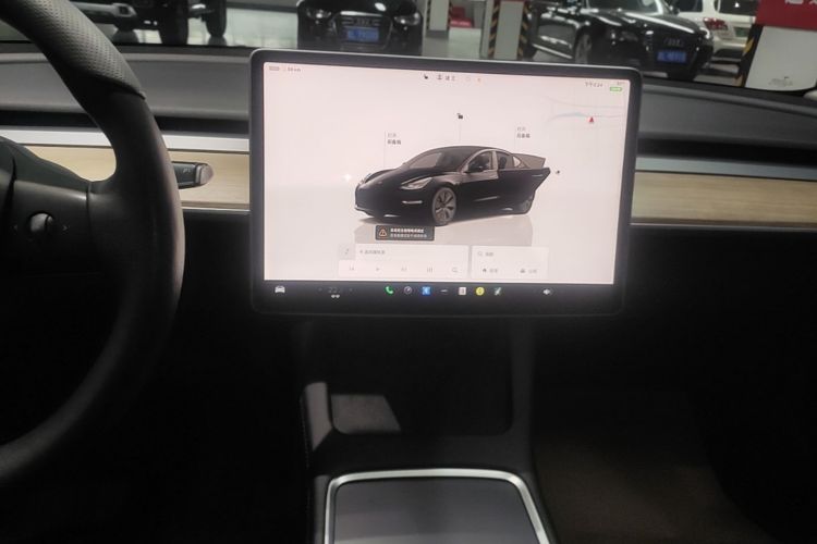 Tesla Model 3 2022 #17 Tesla Model 3 2022 car image #17
