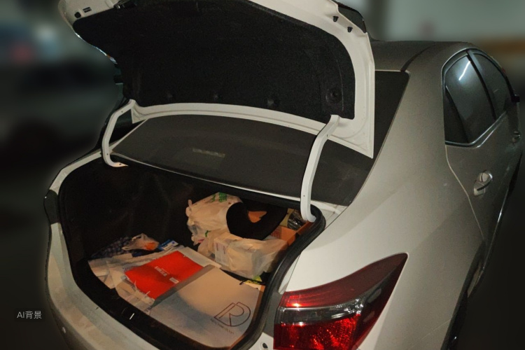 Toyota Corolla 2019 #21 Toyota Corolla 2019 car image #21