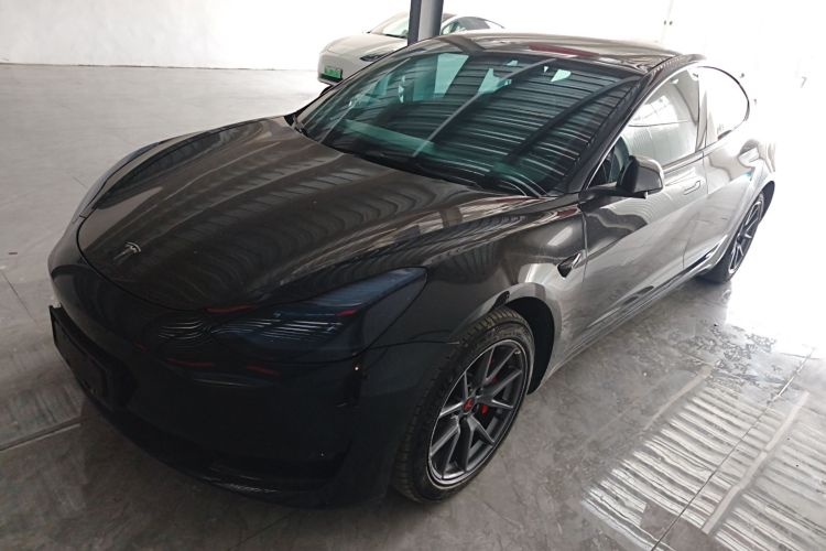 Tesla Model 3 2023 immagine di auto #2