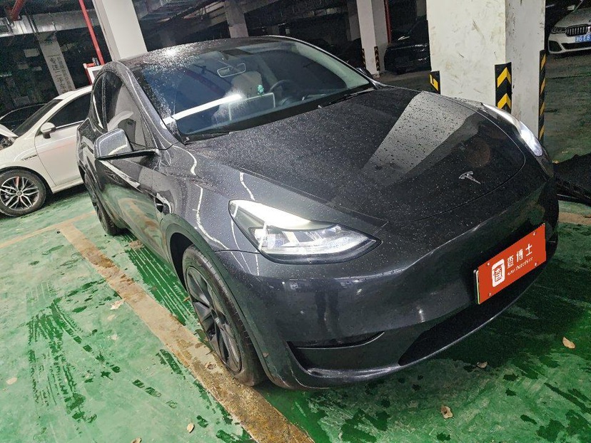 Tesla Model Y 2025 car image #2