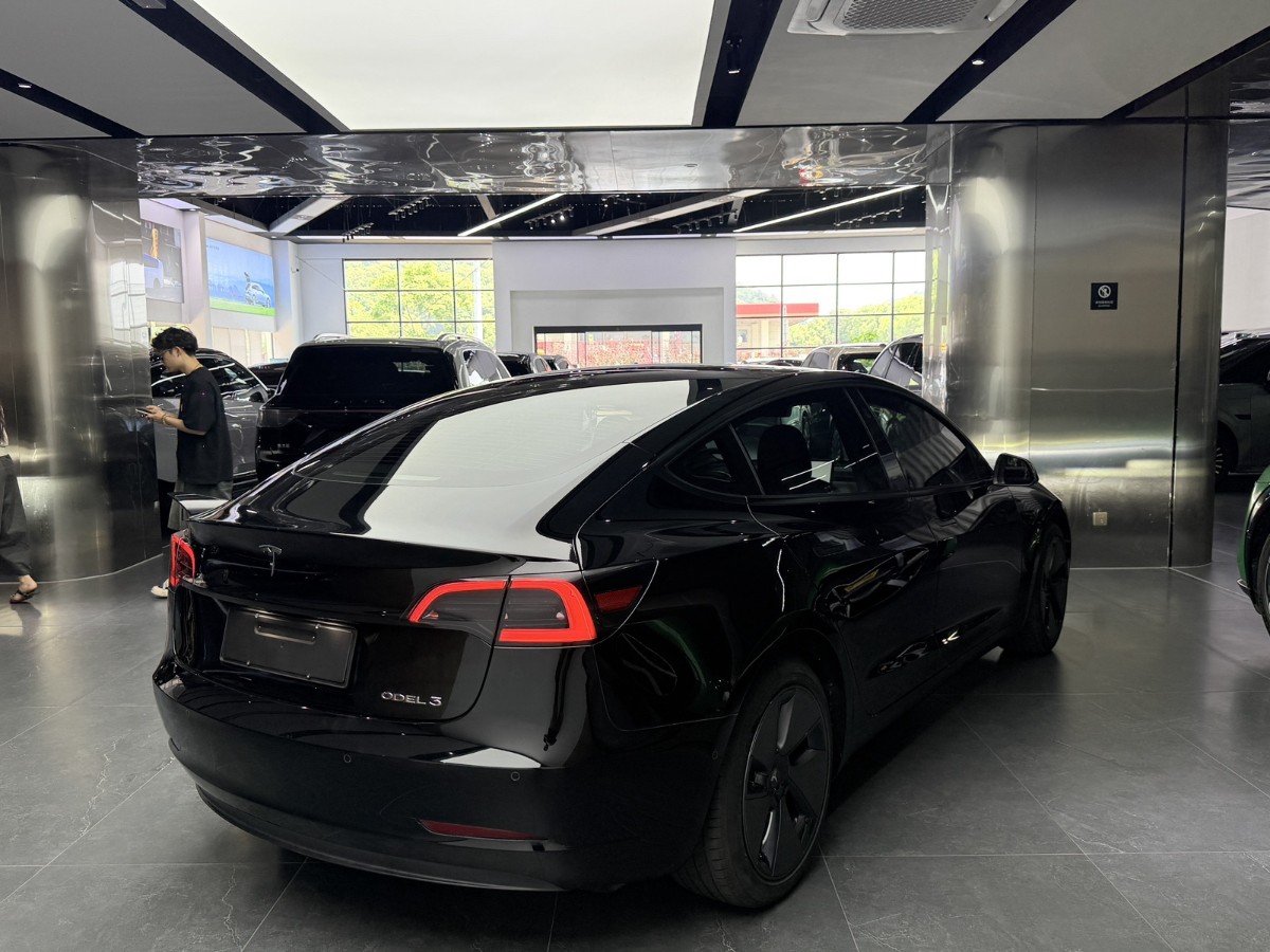 Tesla Model 3 2026 car image #3
