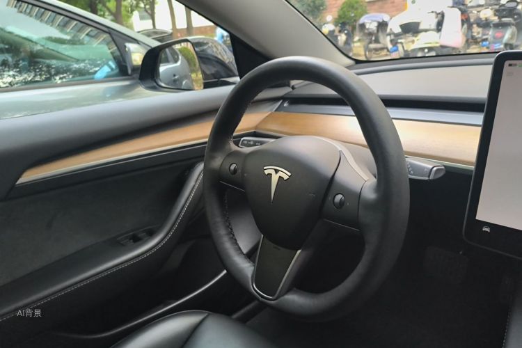 Tesla Model 3 2022 #18 Tesla Model 3 2022 صورة سيارة #18