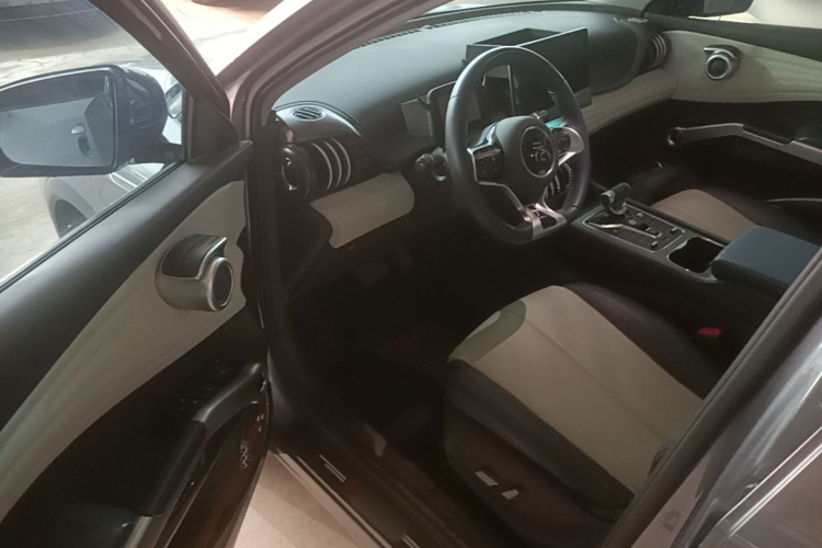 BYD Yuan Plus 2022 car image #16
