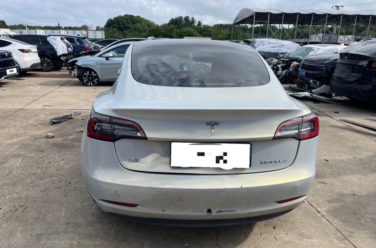 Tesla Model 3 2023 #9 Tesla Model 3 2023 car image #9