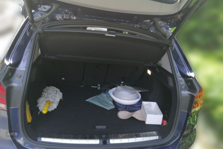 BMW X1 New Energy 2020 car image #21