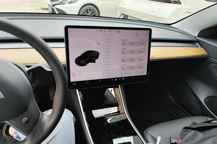 Tesla Model 3 2020 #10 Tesla Model 3 2020 car image #10