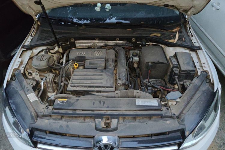 Volkswagen Golf 2015 car image #22