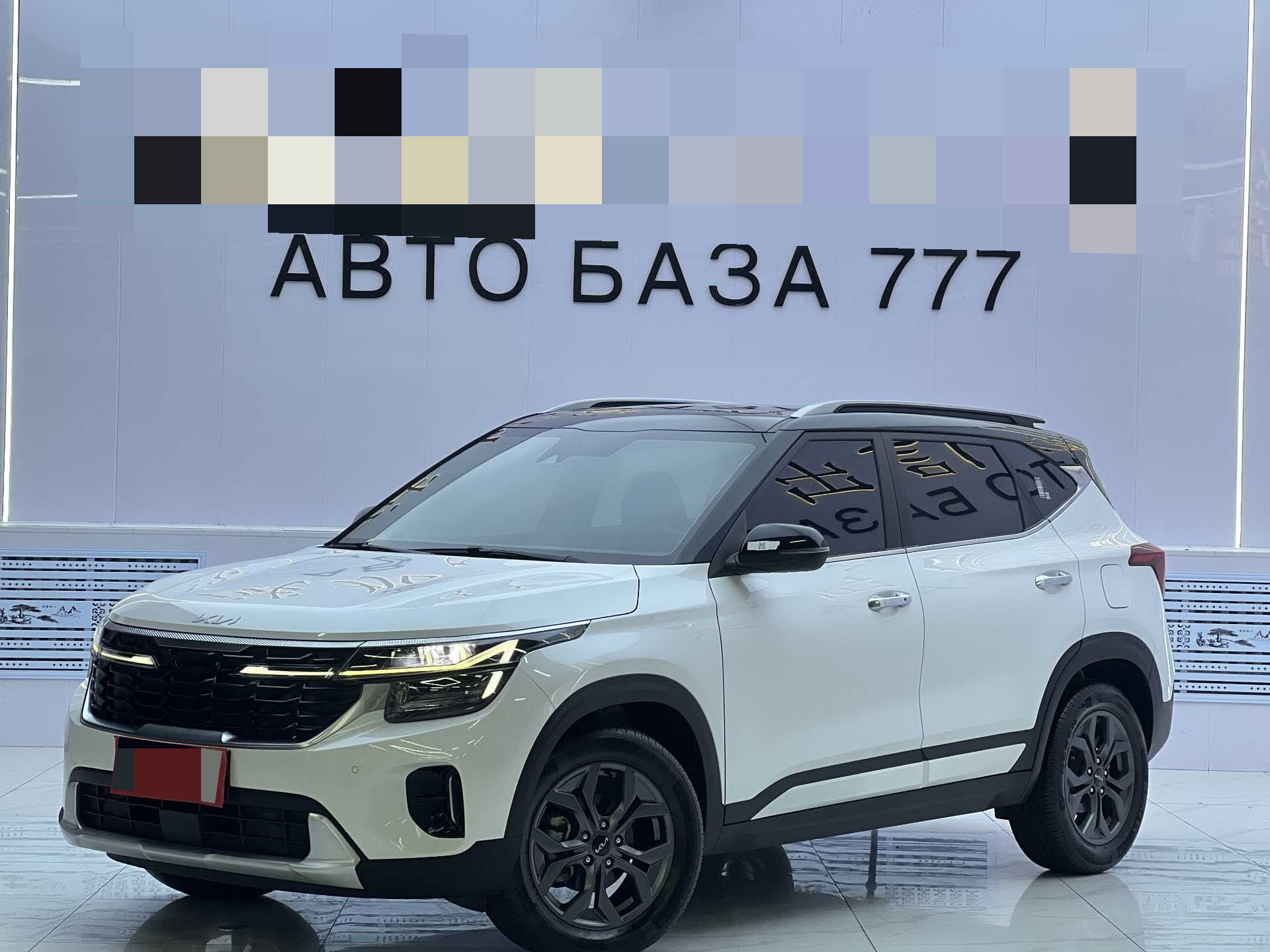 Kia Seltos 2024 car image 