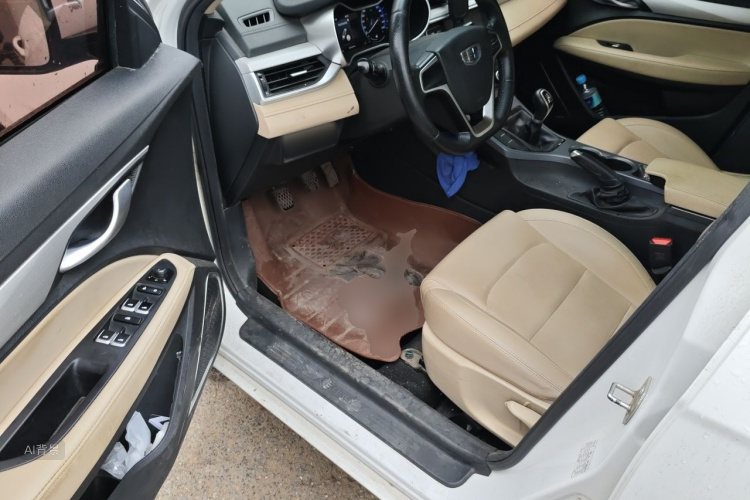 GEELY Emgrand 2018 car image #18