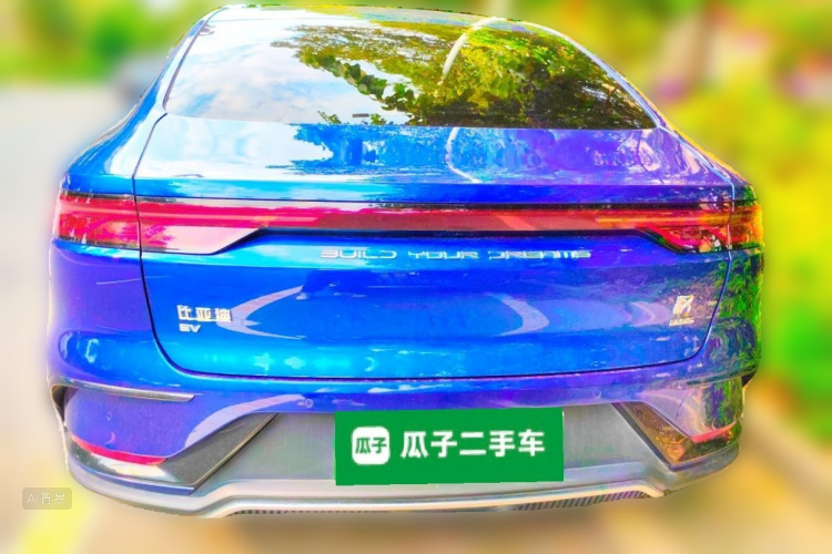 BYD Han 2022 immagine di auto #6