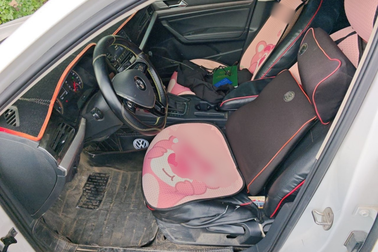 Volkswagen Lavida 2019 car image #15