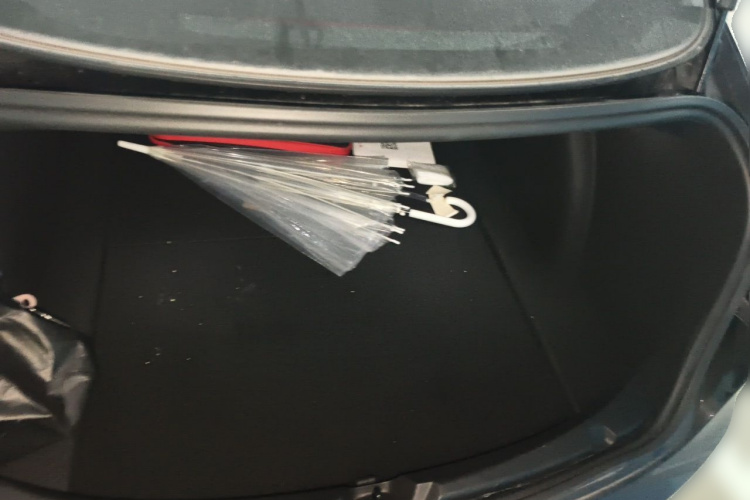 Tesla Model 3 2020 car image #21