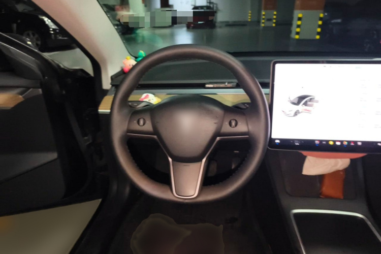 Tesla Model 3 2021 #15 Tesla Model 3 2021 car image #15