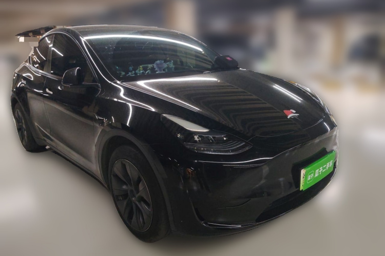 Tesla Model Y 2024 car image #3