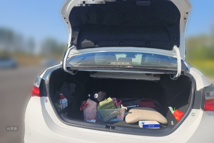 Toyota Corolla 2017 #21 Toyota Corolla 2017 car image #21
