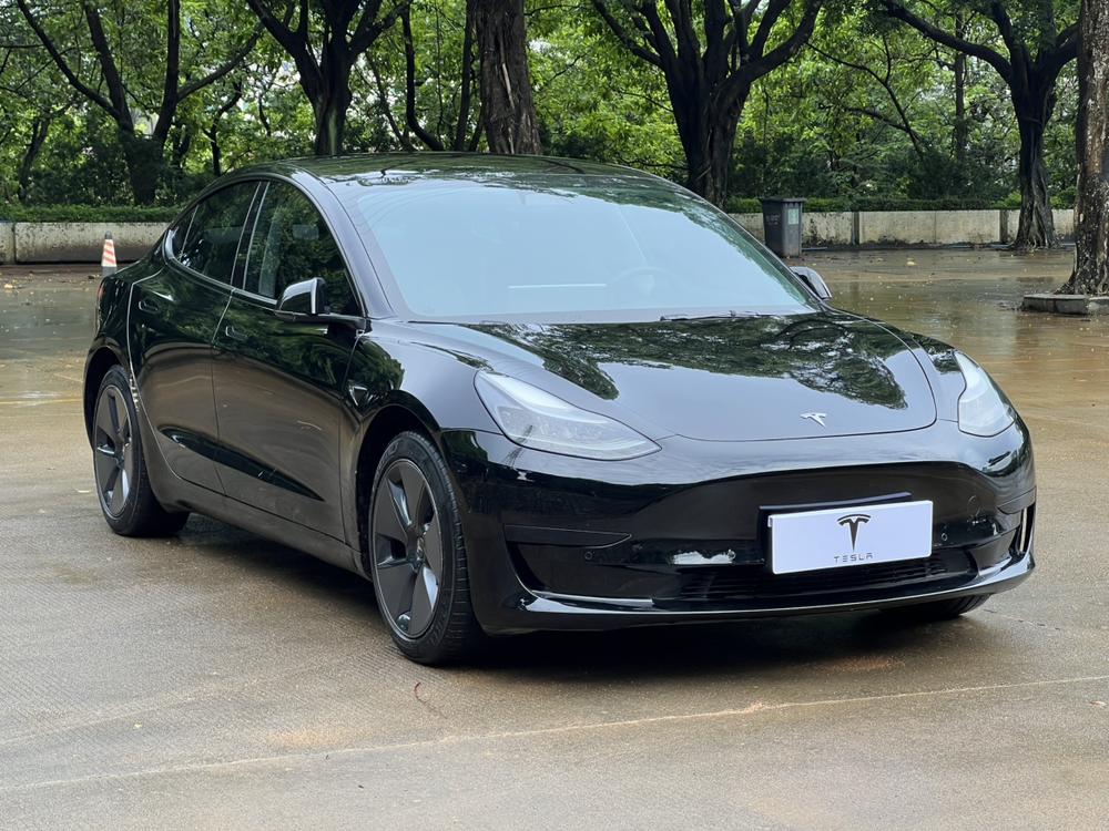 Tesla Model 3 2021 #3 Tesla Model 3 2021 car image #3