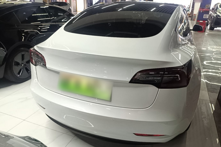 Tesla Model 3 2021 immagine di auto #6