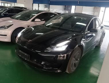 Tesla Model 3 2020 Tesla Model 3 2020 car image