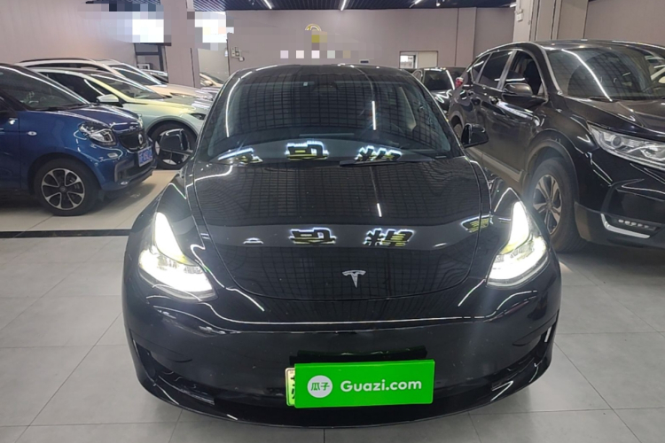 Tesla Model 3 2021 #3 Tesla Model 3 2021 car image #3