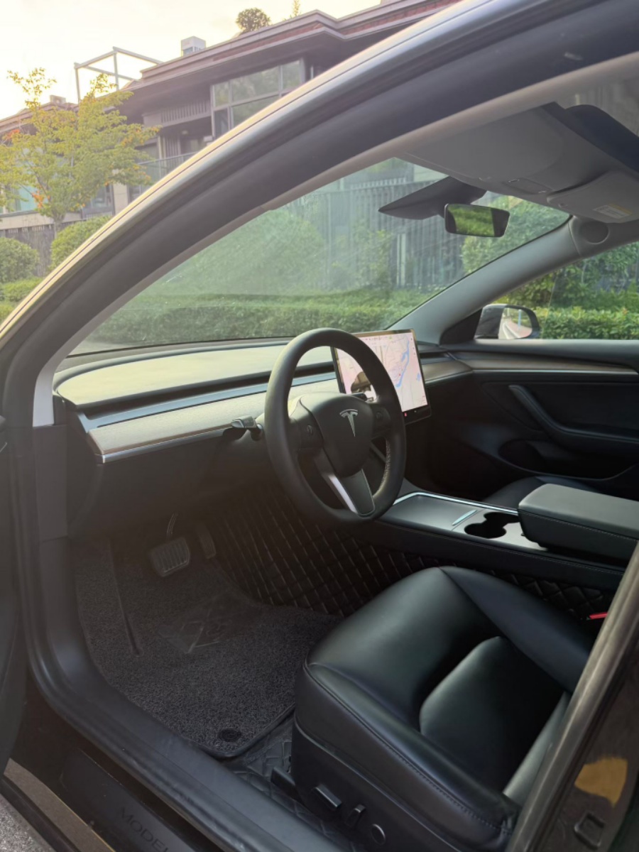 Tesla Model 3 2021 car image #4
