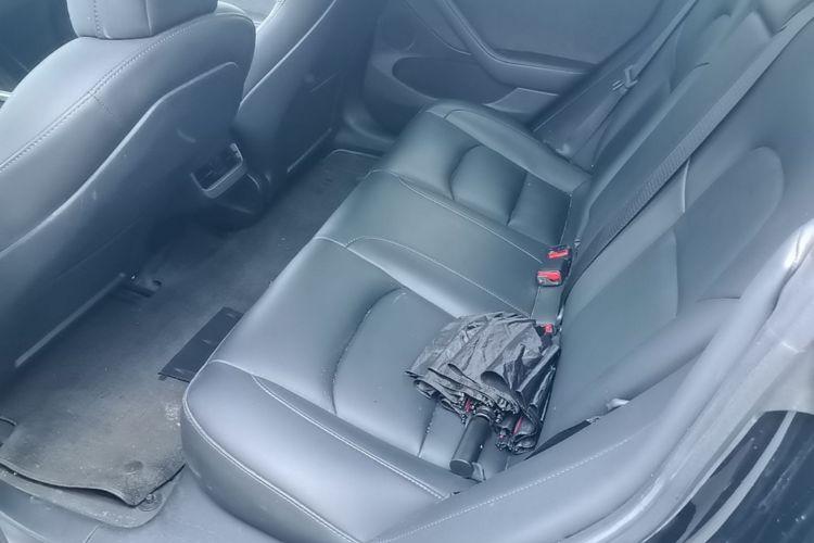 Tesla Model 3 2023 car image #17