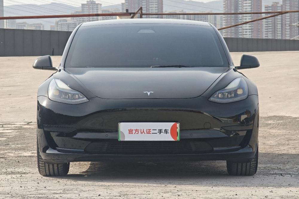 Tesla Model 3 2021 #2 Tesla Model 3 2021 car image #2