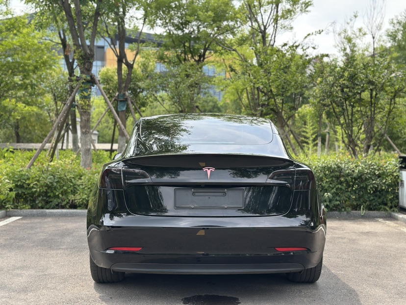 Tesla Model 3 2021 car image #8