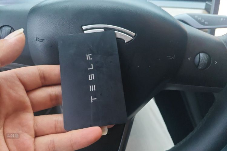 Tesla Model 3 2021 #10 Tesla Model 3 2021 car image #10