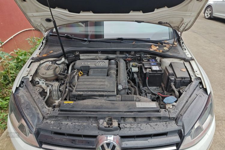 Volkswagen Golf 2017 #22 Volkswagen Golf 2017 car image #22