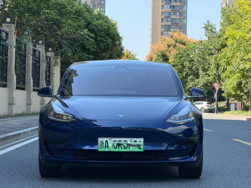 Tesla Model 3 2020 #3 Tesla Model 3 2020 car image #3