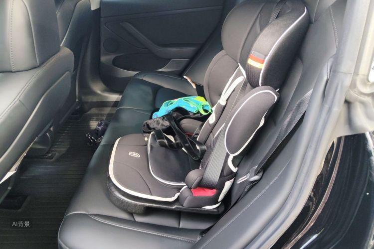 Tesla Model 3 2021 car image #19