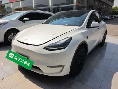 Tesla Model Y 2021 Tesla Model Y 2021 car image