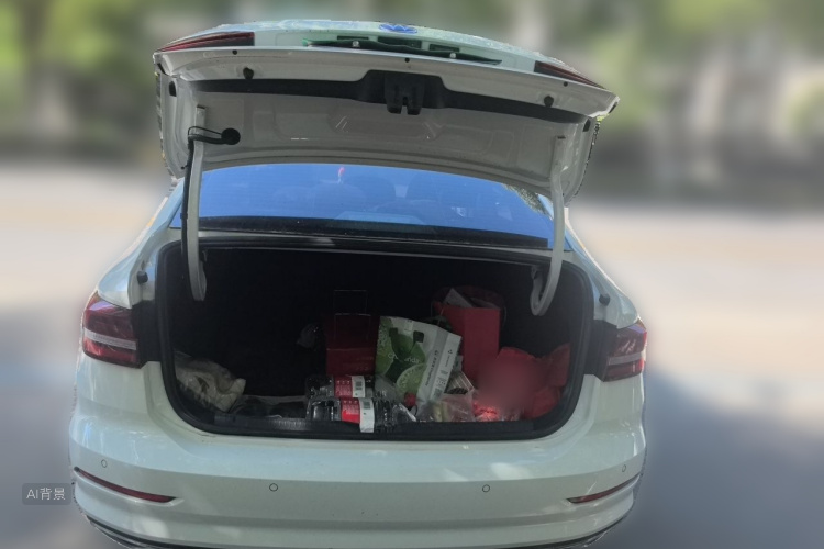 Volkswagen Lavida 2021 car image #21