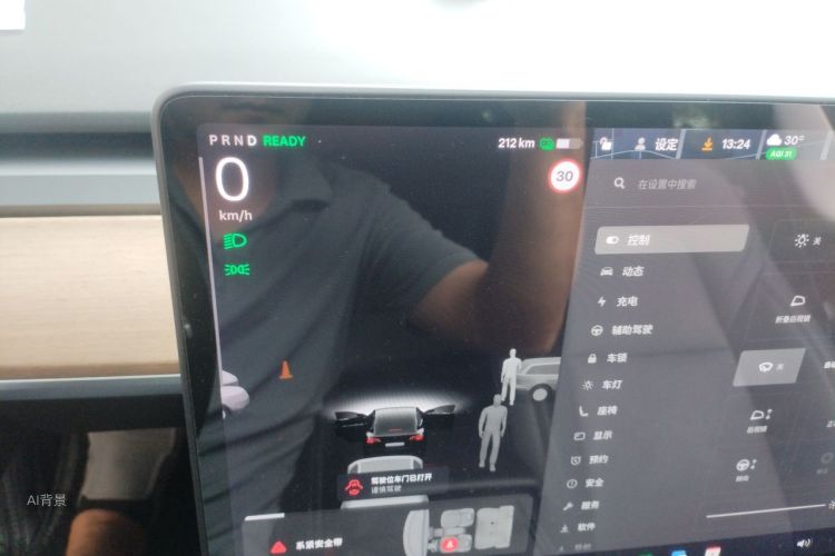 Tesla Model 3 2021 car image #13