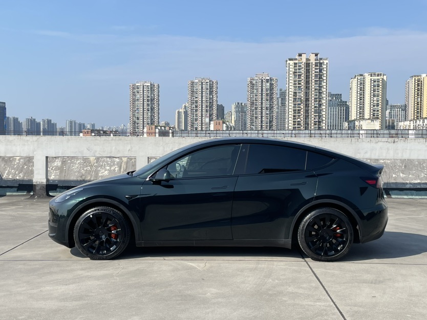 Tesla Model Y 2021 car image #4