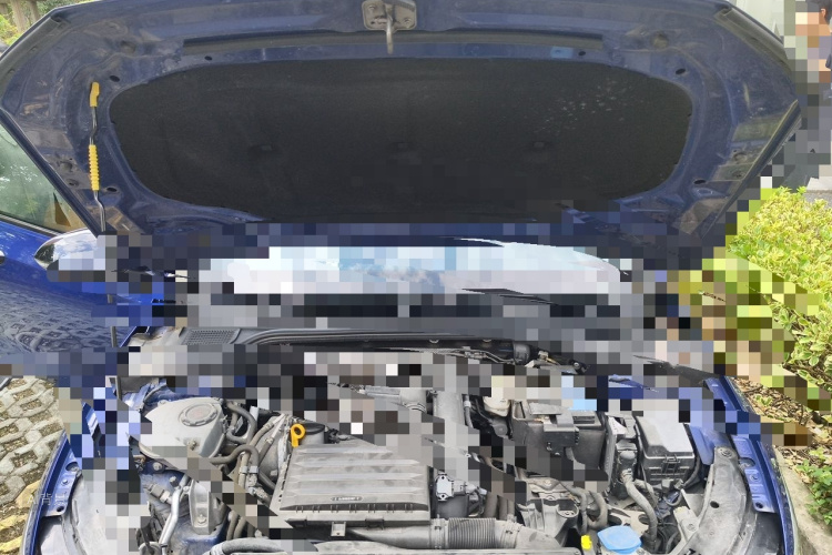Volkswagen Golf 2021 car image #22