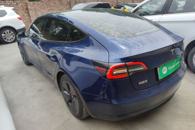 Tesla Model 3 2021 #5 Tesla Model 3 2021 car image #5