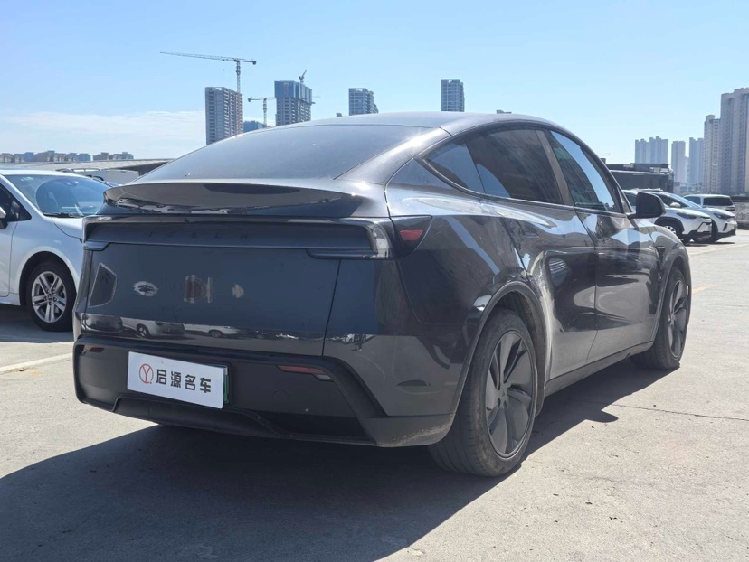 Tesla Model Y 2025 car image #8