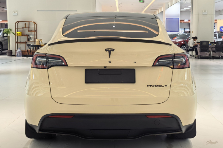 Tesla Model Y 2023 car image #6