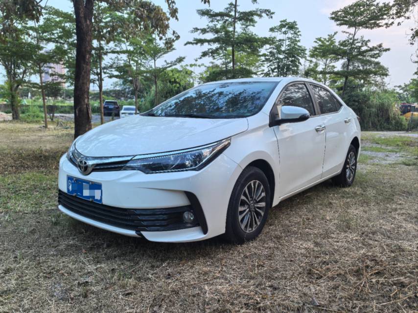 Toyota Corolla 2019 Toyota Corolla 2019 car image