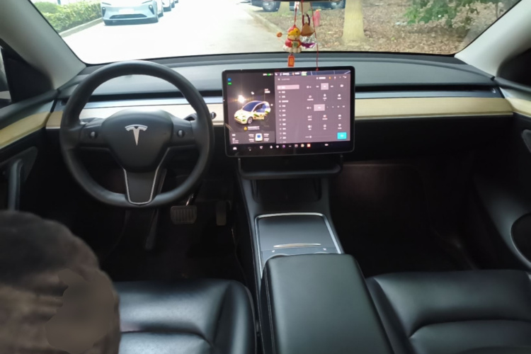 Tesla Model Y 2023 #10 Tesla Model Y 2023 car image #10