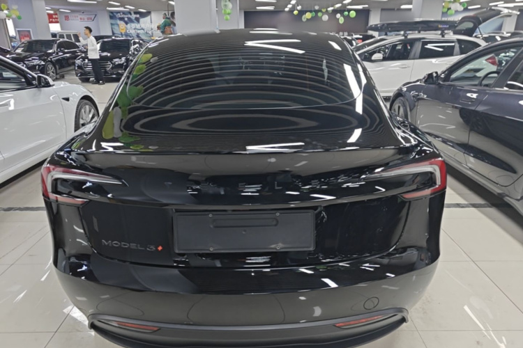 Tesla Model 3 2023 car image #6