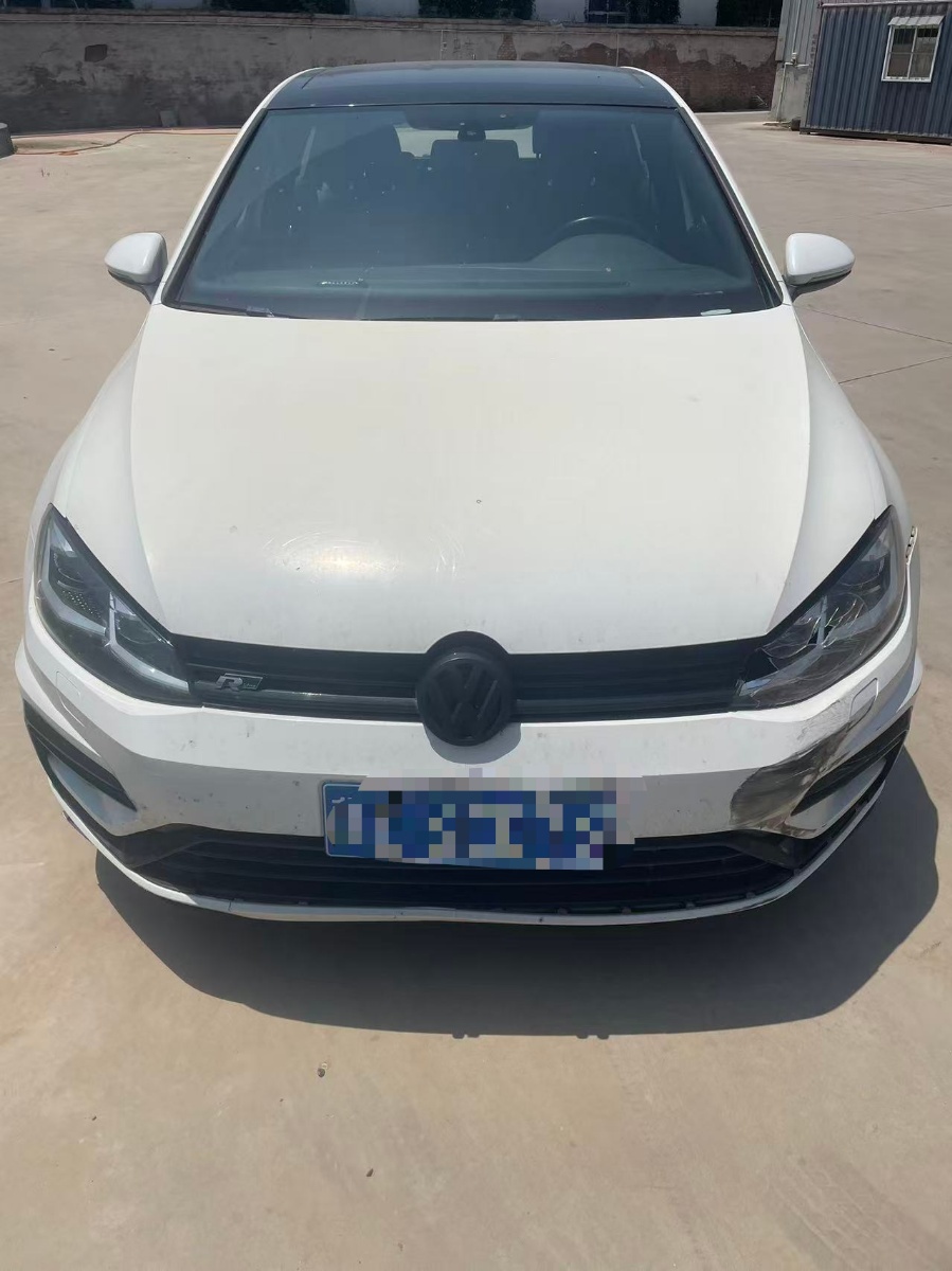 Volkswagen Golf 2019 Volkswagen Golf 2019 car image