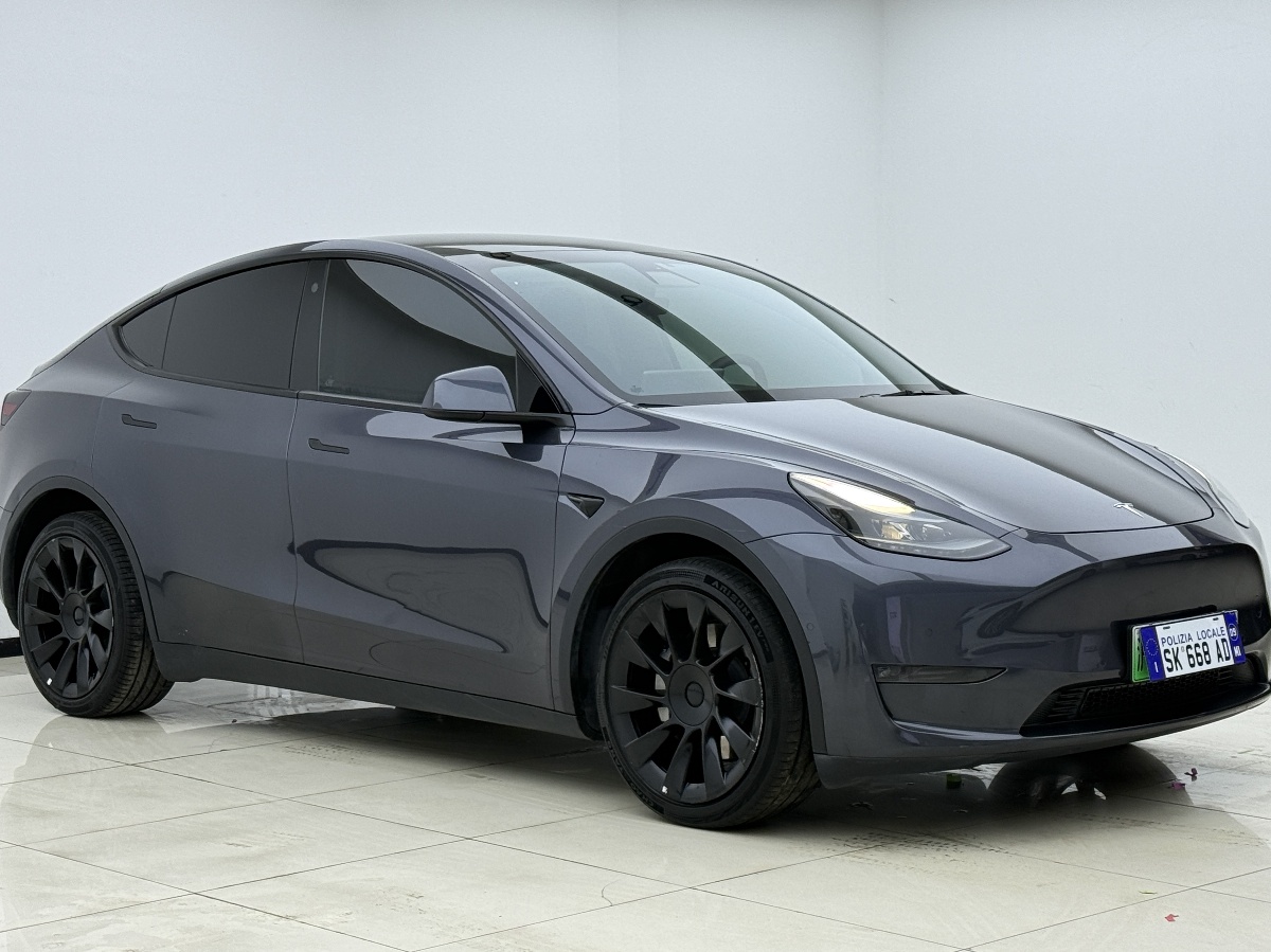 Tesla Model Y 2021 #3 Tesla Model Y 2021 car image #3