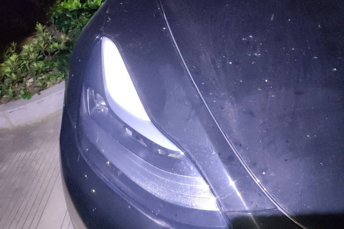 Tesla Model Y 2023 #7 Tesla Model Y 2023 car image #7