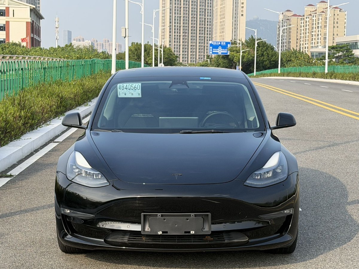 Tesla Model 3 2021 #2 Tesla Model 3 2021 car image #2