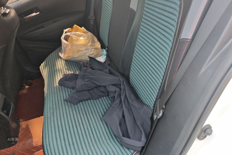 Toyota Corolla 2021 imagem de carro #19